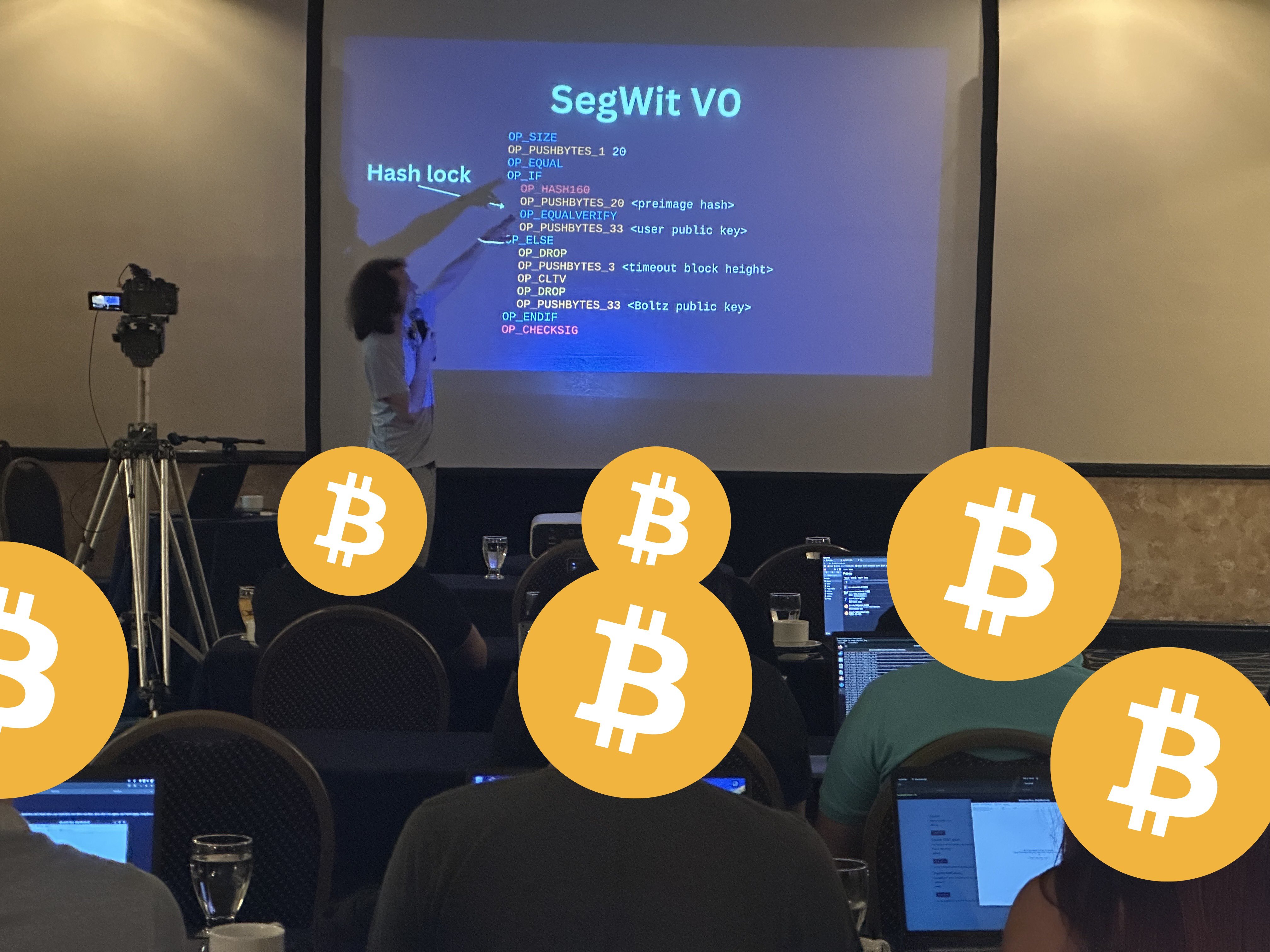 Slideshow image 4